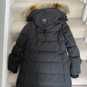 aritzia st anton parka
